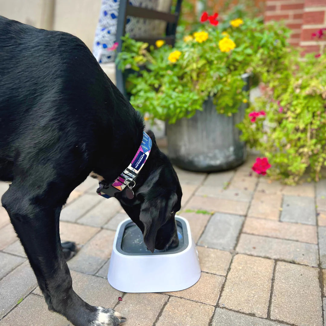 Anti Splash Pet Bowl™